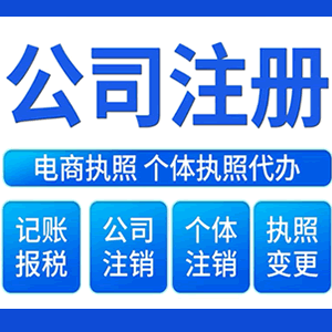 西藏财税咨询·注册公司 -- 注销公司代理 注册营业执照 代理办照